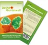 Gurke Kiwano Samen - Cucumis metuliferus - Gurkensamen - Produktbild-Vorschau 1
