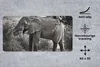 MuchoWow® Mauspad Mousepad Elefant - Tiere - Bäume - Produktbild-Vorschau 2