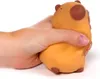 Balle anti-stress Capybara en variante aléatoire Voir les images du produit 6