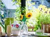 40524 - LEGO Icons - Sonnenblumen Produktbild-Vorschau 5