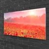 Acrylglasbilder 100x50 Wandbild Druck Wiese Blumen Natur Produktbild-Vorschau 2