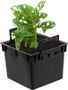 A plant in a black square pot with handles. Produktbild-Vorschau
