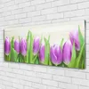 Acrylglasbilder 125x50 Wandbild Druck Tulpen Pflanzen Produktbild-Vorschau 2