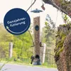 25 kg Lyra Pet® Erdnusskerne gehackt mit Haut Neue Ernte Produktbild-Vorschau 3