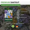 Steingarten-Stauden Winterharte Mischung Samen - Produktbild-Vorschau 8
