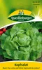 Kopfsalat, Muck Produktbild-Vorschau 3
