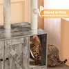 A cat is entering a cat cabinet with scratching posts on top. Podgląd zdjęcia produktu