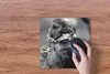 MuchoWow® Mauspad Mousepad Leguane - Tiere - Familie 30x30 Produktbild-Vorschau 3
