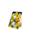 Bloomique - Mélange de 15 - Narcisse - Jonquille - Mélange Voir les images du produit 2