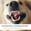 Supravit Rinderohren für Hunde getrocknet 1kg | Produktbild-Vorschau 4
