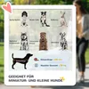 Vozík pre psov PawHut, vozík pre psov s vankúšom, skladací Náhľad obrázku produktu 4