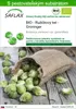 SAFLAX - BIO - Ružičkový kel - Groninger - Brassica Náhľad obrázku produktu 1