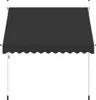 vidaXL Tenda da sole retrattile a comando manuale 250 cm Anteprima dell’immagine prodotto 2