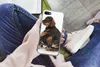 MuchoWow® Handyhülle Schutzhülle Hülle für iPhone 8 Produktbild-Vorschau 3