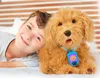 Mes amis flous Moji Labradoodle Voir les images du produit 5