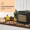 Klarstein Arizona Jerky Dörrautomat - Dörrgerät, Produktbild-Vorschau 2