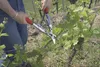 FELCO 200A-60 Zweihand-Baumschere Produktbild-Vorschau 9