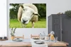 MuchoWow® Poster Schaf - Lustig - Wiese - Kinder - Jungen - Produktbild-Vorschau 3