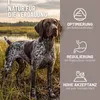 A German Shorthaired Pointer stands in a marshy field with text overlays describing digestive benefits. Produktbild-Vorschau
