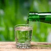 Panasia Jinro Chamisul Classic Koreanisches Soju 20,1% vol. Produktbild-Vorschau 5