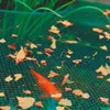 Teichnetz Vogelschutznetz 2 x 5m Laubschutznetz Gartennetz Produktbild-Vorschau 14