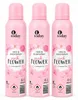 today Deo & Bodyspray Pink Flower – 200 ml (3 Pack) Produktbild-Vorschau 1