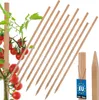 KOTARBAU® Sada 10 ks oporných tyčí 60 cm pre paradajky a Náhľad obrázku produktu 1