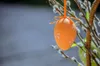 Ostern 200x Set Aufhänger Ostereier Haken für Ostereier Produktbild-Vorschau 3