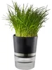 GEFU BOTANICO, Kräutertopf, Freistehend, Kunststoff, Produktbild-Vorschau 2