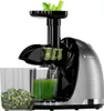 KitchenBrothers Slow Juicer - Entsafter - Obst- und Produktbild-Vorschau 1