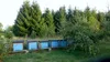 Natural Food – Surový med – Prírodný. Neupravený, Náhľad obrázku produktu 8