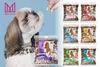 A dog looking up at a hand offering a treat, with multiple bags of dog treats displayed. Produktbild-Vorschau