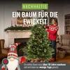 PFLANZWERK® Künstlicher Weihnachtsbaum NORDMANNTANNE 120cm Produktbild-Vorschau 2