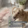 A hand holding a clump of dog fur next to a golden retriever dog. Produktbild-Vorschau