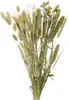 Trockenblumen Strauß Blumen und Gräser Mix 45cm natur grün Produktbild-Vorschau 1
