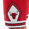 Pánské kraťasy Mitchell & Ness shorts Chicago Bulls red Náhled obrázku produktu 7
