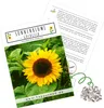 Farbenfrohe Sonnenblumen Samen mit hoher Keimrate - Produktbild-Vorschau 1