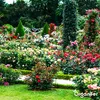 Lavamehl aus Eifeler Urgestein (20 kg - Für 200 m2)- Produktbild-Vorschau 4