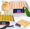 Inkubátor na vajcia Automatický inkubátor Liahne Hydinárska Náhľad obrázku produktu 1