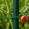 Aga Tuteur pour plantes 150 cm 10 pièces Voir les images du produit 6