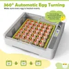Vollautomatischer Inkubator 36 Digital Clear Egg Inkubator, Produktbild-Vorschau 4