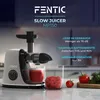 Fentic Wyciskarka do Owoców i Warzyw – Elektryczny Slow Podgląd zdjęcia produktu 4