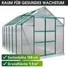 BRAST Gewächshaus Aluminium mit Fundament | 380x250x235cm | Produktbild-Vorschau 9