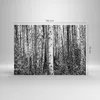 Bilder auf glas - Einteilig - Birken Wald Monochrom - Produktbild-Vorschau 3