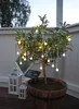 Best Season LED-Solarlichterkette "Balls White" 20 teilig Produktbild-Vorschau 13
