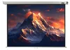 celexon Leinwand Rollo Professional 200 x 150 cm - 98" Produktbild-Vorschau 1