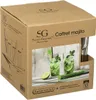 Set à cocktail Secret de Gourmet Crystal polypropylène Voir les images du produit 2