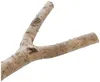 Trixie Y-Sitzstange aus Naturholz - Klein Produktbild-Vorschau 6