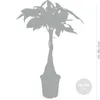 Bloomique - Zestaw 2 szt. - Pachira Aquatica - Drzewko Podgląd zdjęcia produktu 5