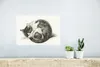 MuchoWow® Poster Schlafende Katze zusammengerollt - Gemälde Produktbild-Vorschau 5